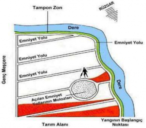 ateş